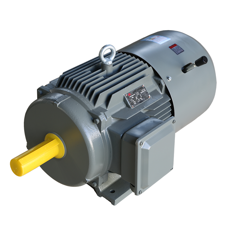 YEJ系列電磁制動三相異步電動機(jī)
